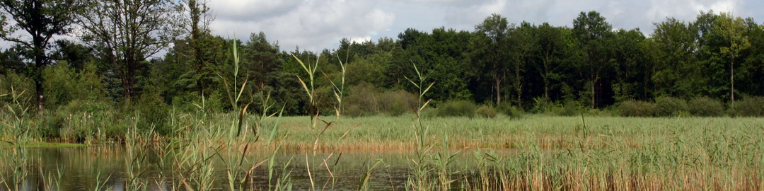 Header N-VA Herselt
